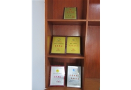 公司10年參展資質(zhì)證